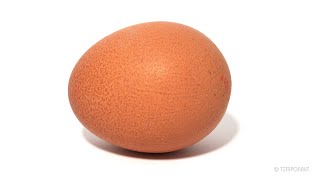 Egg