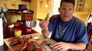 How To Eat Crabs   Best Way To Eat Maryland Blue Crab.