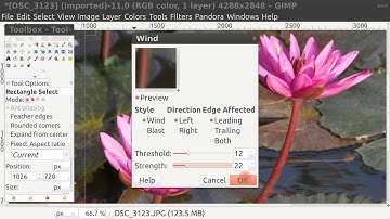 GIMP Filter Wind