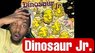 Dinosaur Jr. - Don&#39;t pretend you didn&#39;t know (Reaction)