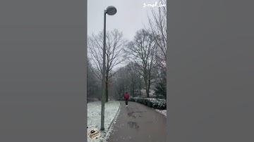 القارئ جعفر السعدي تلاوة ماتعة 🥰 | #القرآن_الكريم