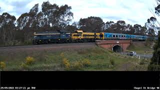 SSR T356 T381 Comeng Transfer Down - 29th Sept 2022