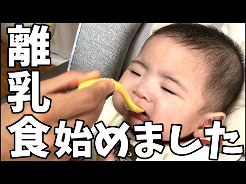 【初めての離乳食】親子の息が重要⁈ どちらも初めての事で何度も失敗しちゃう〜生後5ヶ月〜