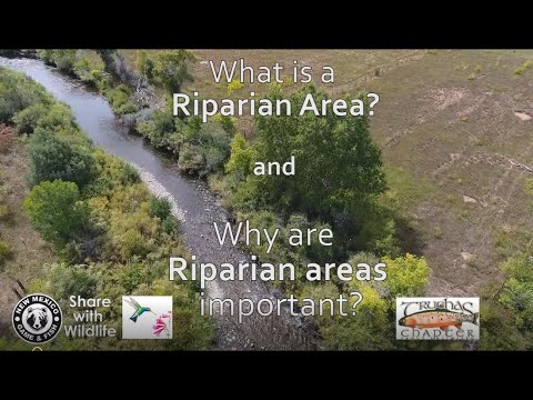 What is a Riparian Area and Why are Riparian Areas Important?