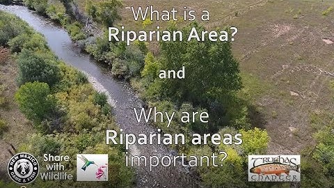 What is a Riparian Area and Why are Riparian Areas Important?