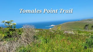 Tomales Point Trail 👣 Spring 2024~ Point Reyes!  Amazing Views,  Wildlife, and Wildflowers