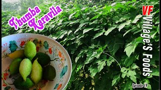 EP-19 Village StyleThumba Karavila/Bitter gourd Curry-Villagers foods