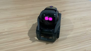 Vector robot powered by Deepseek v3