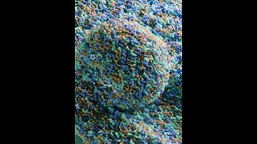 Houdini Redshift rnd