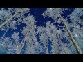 ♡ BERNWARD KOCH - Wonderful Glider (piano peaceful music)