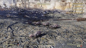 Fallout 76 Pied Piper Eyebot Random Encounter