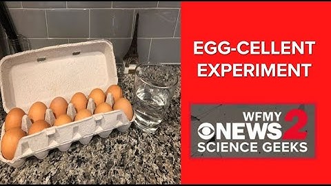 Science Geeks: An Egg-cellent Density Experiment
