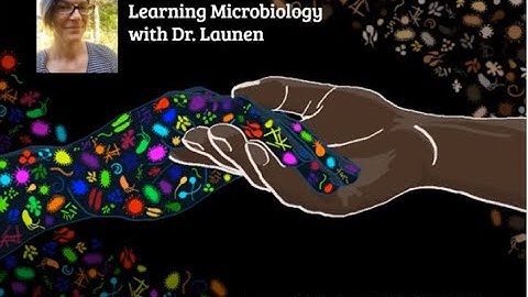 A (colony/habitat/biofilm) is a mixed population of microbes growing together on surfaces.