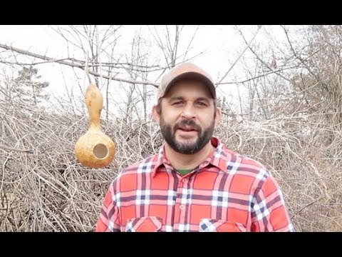 Video: Gourd Birdhouse Crafts for Kids - Creating Birdhouses Out Of Gourd