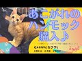 【猫と暮らす】PEOPLE&PETS　猫用ハンモックおすすめレビュー♪