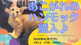 【猫と暮らす】PEOPLE&PETS　猫用ハンモックおすすめレビュー♪