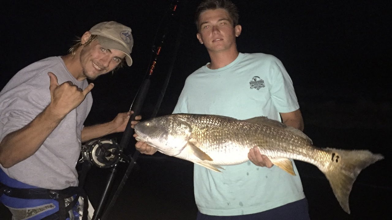 Bull Red Drum Takes Huge Chunk of Stingray on a Shark Rig!!! - YouTube
