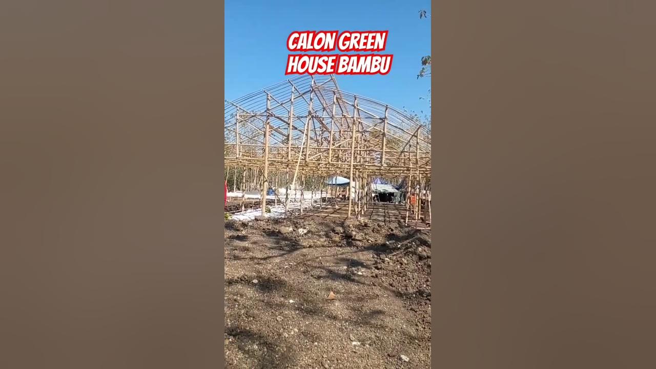 CALON GREEN HOUSE BAMBU #greenhouse #greenhousebambu #agro #education #shorts CALON GREEN HOUSE BAMBU #greenhouse #greenhousebambu #agro #education #shorts