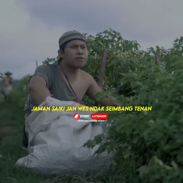 STORY WA AGUS KOTAK MOTIVASI || STORY WA TERBARU || STORY MOTIFASI