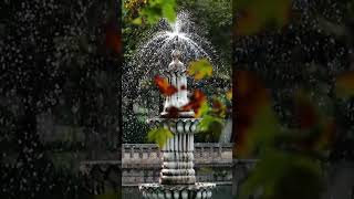 Hayal Kırıklığım Olma... Orası Çok Kalabalık