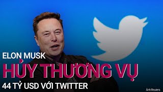Elon Musk hủy thương vụ 44 tỷ USD với Twitter | VTC Now