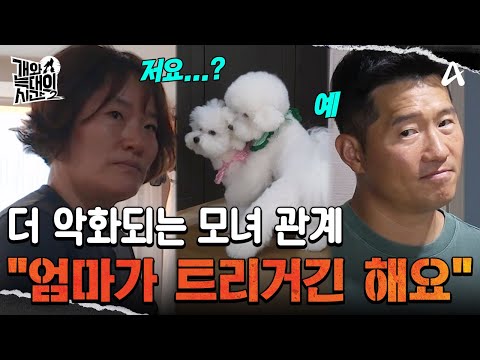 "Mom is actually the trigger": A dog fight that doesn't calm down even with blocking | The Time B...