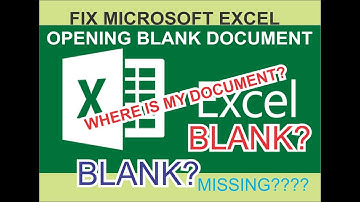 MICROSOFT EXCEL FILE  opening a blank document?(fixed)