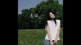 是你 (Shi Ni) By Meng Ran 梦然 [中字   Pinyin] Lyrics