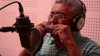 Hamein Aur Jineki  Harmonica Instrumental 
