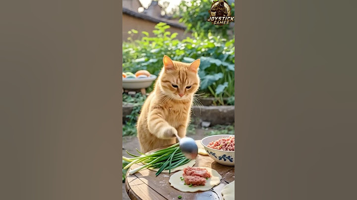 Cooking With Kitty's Special Recipe #pcgaming #mobilegaming #gamingnews #gameplay #cat