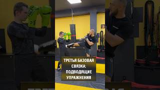 Третья базовая связка: подводящие упражнения. Дмитрий Власов.