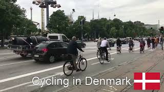Cycling In Denmark Vs Iceland