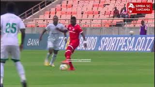 makeke na mbwembwe za simba