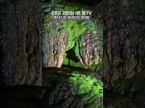 EBS 가만히 1분 멍TV <strong>환선굴</strong> 악마의 발톱 #shorts #멍 #<strong>환선굴</strong> #악마의발톱