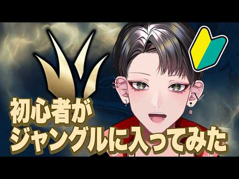 【League of Legends / 初心者】ジャングルの気持ちを知ろう【Vtuber/矢崎龍弥】