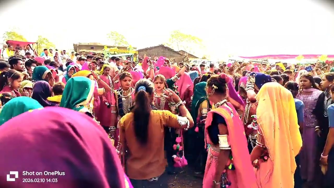 Aadivasi Sadi song 