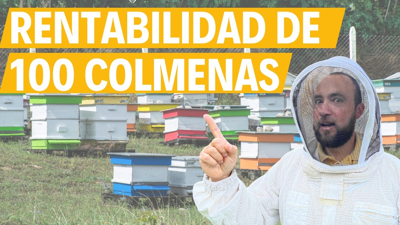 ¿Cuál es la Rentabilidad de 100 Colmenas en la Apicultura?