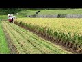 YANMAR AJ223 XH