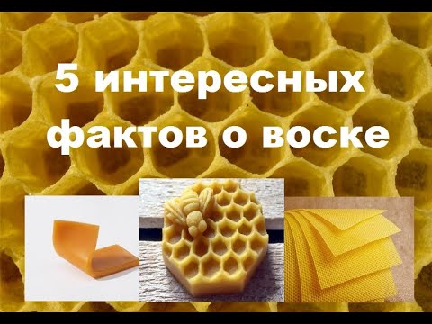 5 интересных фактов о воске
