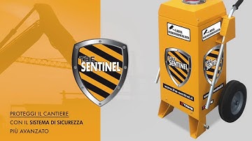 TRIME - sentinel - Rilevamento Intrusione