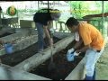 Demo on Vermicomposting & Vermiculture courtesy of Dr. Ed Lalas, DA-QAES