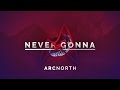 Arc north  never gonna radio edit official audio