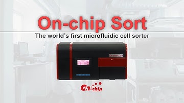 On-chip Sort: The world