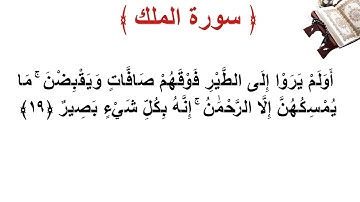 سورة الملك الأية 19