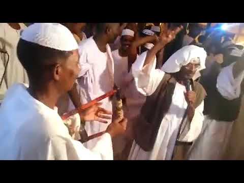 ود اب لهب واحمودي
