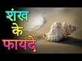 शंख के फायदे | Benefits of conch | Amazing Facts