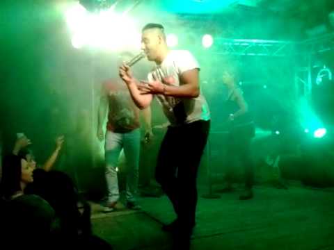 delta két pej ló live