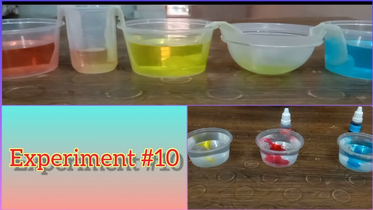 Experiment 10 Walking water Crazy science Science Experiment YouTube