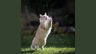 Tranquil Kitty Harmony