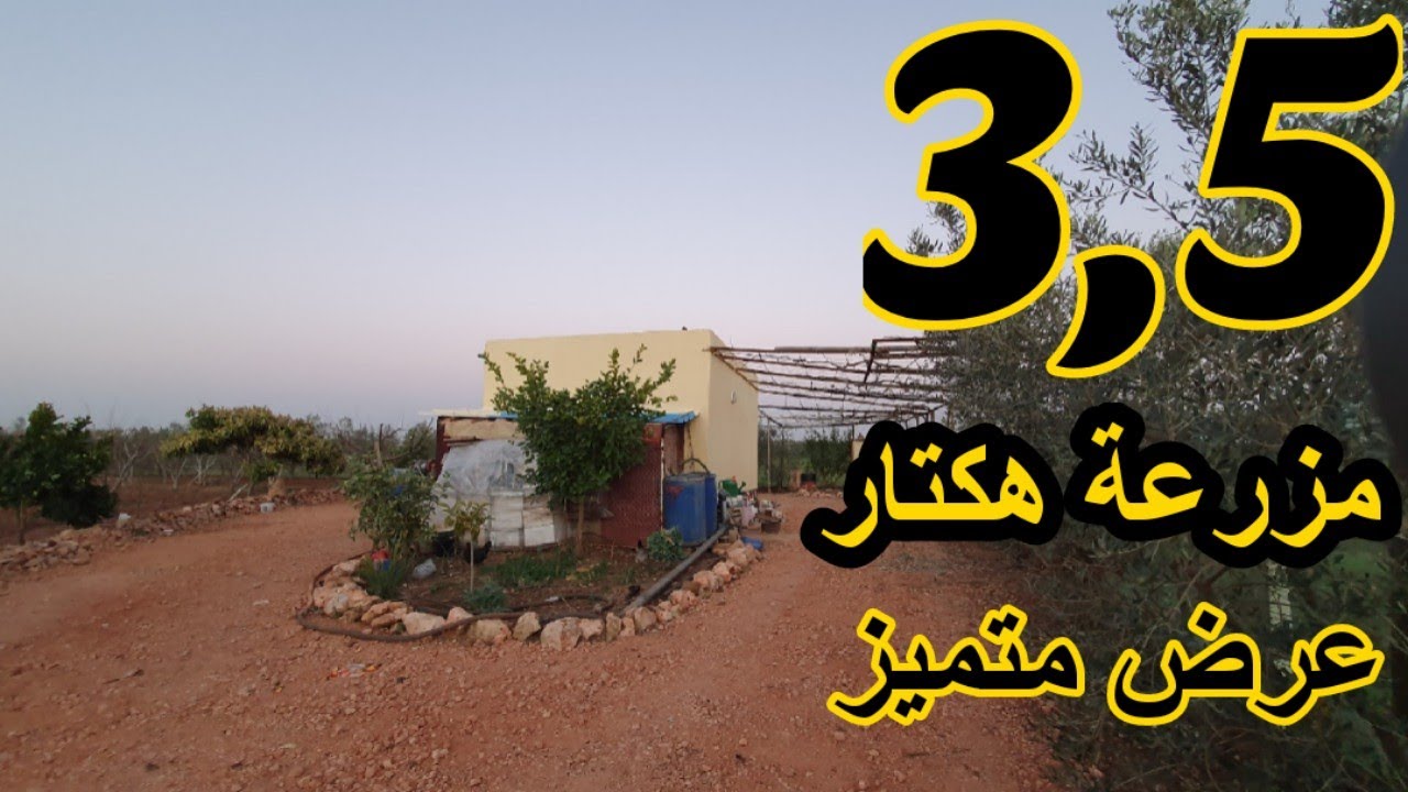 ✨مزرعة فاخرة للبيع مجهزة بالكامل مع معلومات مهمة حول التسجيل و التحفيظ الاراضي الفلاحية✨